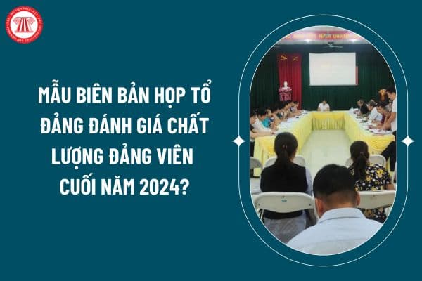 Mẫu biên bản họp tổ đảng đánh giá chất lượng Đảng viên cuối năm 2024 thế nào? Tải về Mẫu biên bản họp tổ đảng đánh giá chất lượng Đảng viên cuối năm 2024? (Hình từ internet)