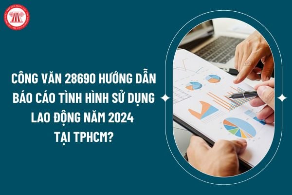 Công văn 28690 hướng dẫn báo cáo tình hình sử dụng lao động năm 2024 tại TPHCM như thế nào? (Hình từ internet)