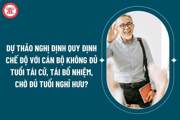 Dự thảo Nghị định quy định chế độ với cán bộ không đủ tuổi tái cử, tái bổ nhiệm, chờ đủ tuổi nghỉ hưu thế nào? (Hình từ internet)