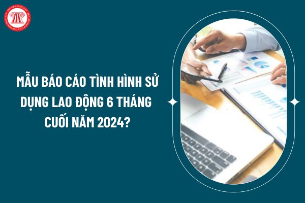 Mẫu báo cáo tình hình sử dụng lao động 6 tháng cuối năm 2024 theo Công văn 28690 như thế nào? (Hình từ internet)