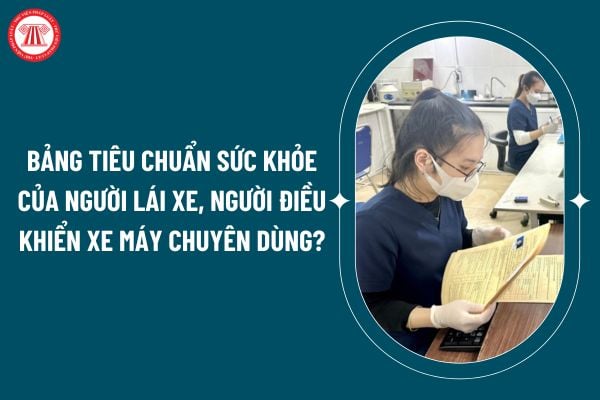 Bảng tiêu chuẩn sức khỏe của người lái xe, người điều khiển xe máy chuyên dùng theo Thông tư 36/2024 thế nào? (Hình từ internet)