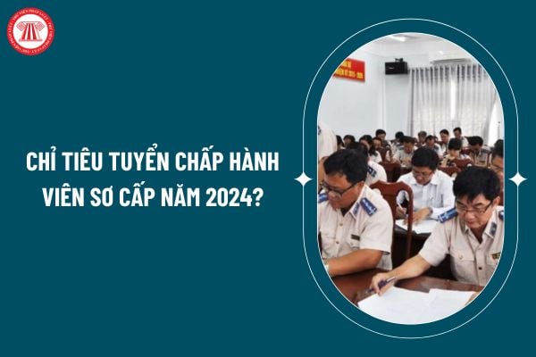 Chỉ tiêu tuyển Chấp hành viên sơ cấp năm 2024 là bao nhiêu? Kỳ thi tuyển Chấp hành viên sơ cấp năm 2024 thế nào? (Hình từ internet)