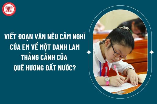 Viết đoạn văn nêu cảm nghĩ của em về một danh lam thắng cảnh của quê hương đất nước chọn lọc? Nhiệm vụ của học sinh tiểu học là gì? (Hình từ internet)