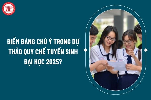 Điểm đáng chú ý trong dự thảo quy chế tuyển sinh đại học 2025? Tải dự thảo Quy chế tuyển sinh đại học 2025 ở đâu? (Hình từ internet)