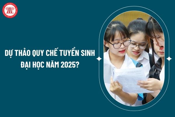 Dự thảo Quy chế tuyển sinh đại học năm 2025 thế nào? Sửa đổi phương thức tuyển sinh đại học 2025 thế nào? (Hình từ internet)