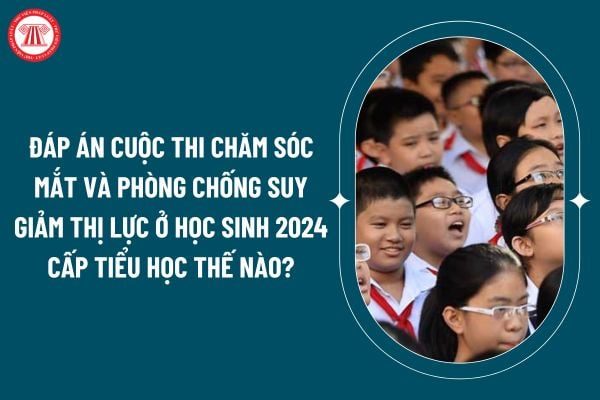 Đáp án Cuộc thi chăm sóc mắt và phòng chống suy giảm thị lực ở học sinh 2024 cấp tiểu học thế nào? (Hình từ internet)