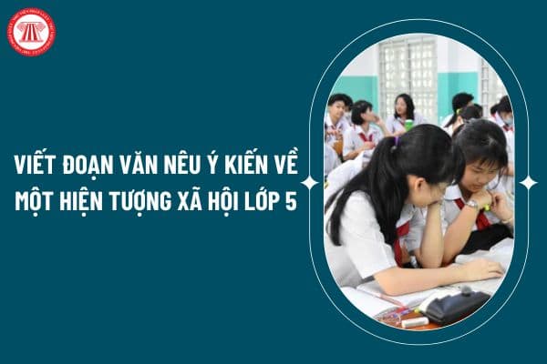 Viết đoạn văn nêu ý kiến về một hiện tượng xã hội lớp 5? Yêu cầu chung cần đạt về năng lực đặc thù của học sinh theo chương trình GDPT 2018? (Hình từ internet)