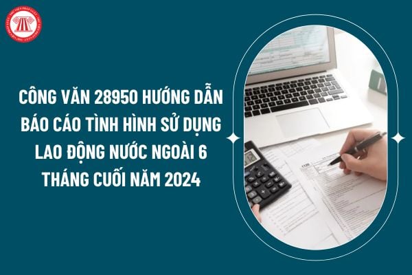 Công văn 28950 hướng dẫn báo cáo tình hình sử dụng lao động nước ngoài 6 tháng cuối năm 2024 tại TPHCM thế nào? (Hình từ internet)