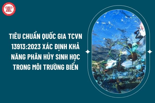 Tiêu chuẩn quốc gia TCVN 13913:2023 xác định khả năng phân hủy sinh học trong môi trường biển thế nào? (Hình từ internet)