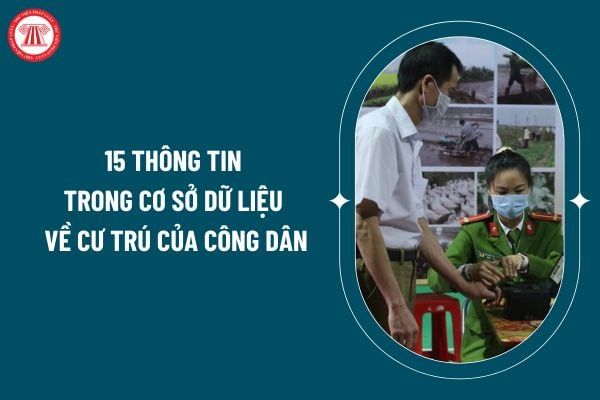 15 thông tin trong Cơ sở dữ liệu về cư trú của công dân theo Nghị định 154/2024 áp dụng từ 2025 thế nào? (Hình từ internet)