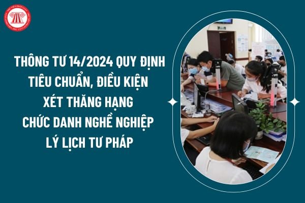 Thông tư 14/2024 quy định tiêu chuẩn, điều kiện xét thăng hạng chức danh nghề nghiệp Lý lịch tư pháp thế nào? (Hình từ internet)