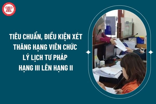 Tiêu chuẩn, điều kiện xét thăng hạng Viên chức lý lịch tư pháp hạng III lên hạng II theo Thông tư 14/2024 thế nào? (Hình từ internet)