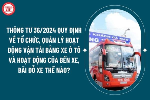 Thông tư 36/2024 quy định về tổ chức, quản lý hoạt động vận tải bằng xe ô tô và hoạt động của bến xe, bãi đỗ xe thế nào? (Hình từ internet)