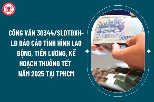 Công văn 30344/SLĐTBXH-LĐ báo cáo tình hình lao động, tiền lương, kế hoạch thưởng Tết năm 2025 tại TPHCM ra sao? (Hình từ internet)