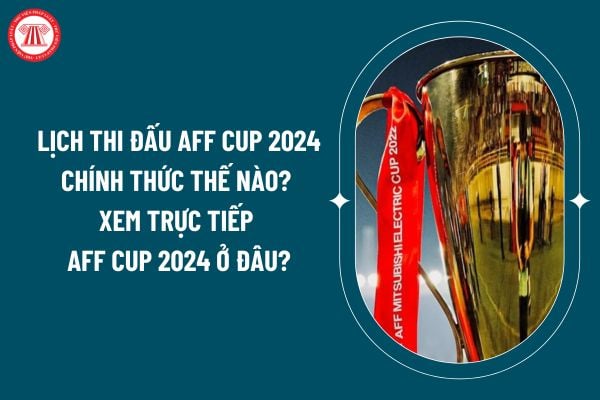 Lịch thi đấu AFF Cup 2024 chính thức thế nào? Xem trực tiếp AFF Cup 2024 ở đâu? Nghĩa vụ của vận động viên các đội tuyển thể thao quốc gia? (Hình từ internet)