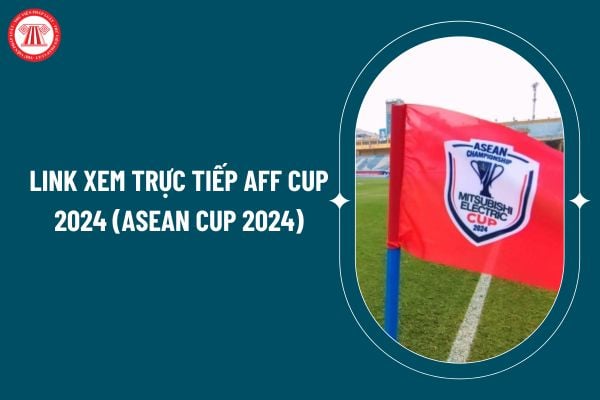 Link xem trực tiếp AFF Cup 2024 (ASEAN Cup 2024) thế nào? Trực tiếp AFF Cup 2024 tại kênh nào? Ban huấn luyện đội tuyển quốc gia có trách nhiệm gì? (Hình từ internet)