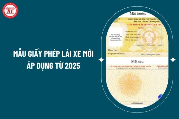 Mẫu giấy phép lái xe mới áp dụng từ 2025 theo Thông tư 35/2024 thế nào? Quy định về cấp giấy phép lái xe từ 2025? (Hình từ internet)