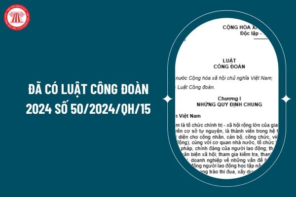 Đã có Luật Công đoàn 2024 số 50/2024/QH/15 đúng không? Tải về file Luật Công đoàn 2024 ở đâu? (Hình từ internet)