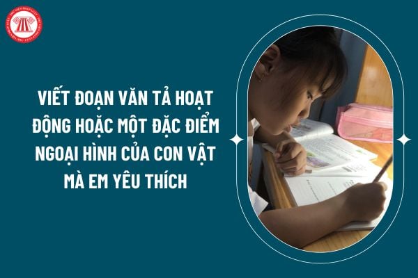 Viết đoạn văn tả hoạt động hoặc một đặc điểm ngoại hình của con vật mà em yêu thích? Nhiệm vụ của học sinh tiểu học hiện nay? (Hình từ internet)