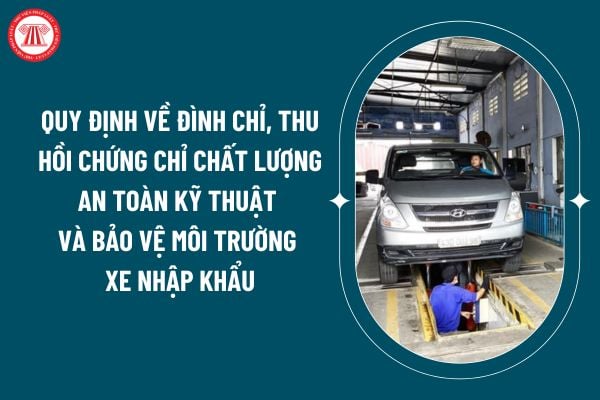 Quy định về đình chỉ, thu hồi chứng chỉ chất lượng an toàn kỹ thuật và bảo vệ môi trường xe cơ giới nhập khẩu mới nhất 2025 thế nào?