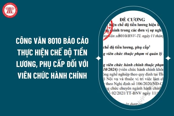 Công văn 8010 báo cáo thực hiện chế độ tiền lương, phụ cấp đối với viên chức hành chính thế nào? (Hình từ internet)