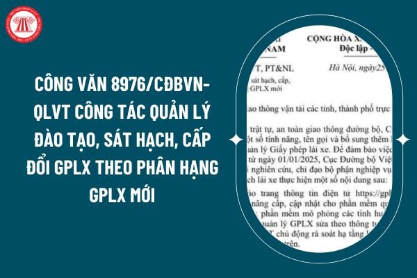 Công văn 8976/CĐBVN-QLVT công tác quản lý đào tạo, sát hạch, cấp đổi GPLX theo phân hạng GPLX mới ra sao? (Hình từ internet)