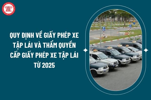 Quy định về giấy phép xe tập lái và thẩm quyền cấp giấy phép xe tập lái từ 2025 theo Nghị định 160/2024 ra sao? (Hình từ internet)