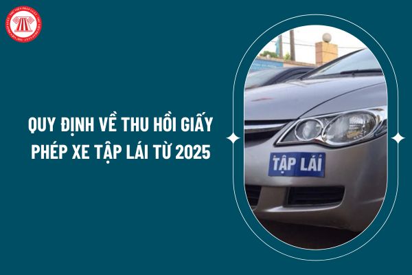 Quy định về thu hồi giấy phép xe tập lái từ 2025 theo Nghị định 160/2024 thế nào? Giấy phép xe tập lái và thẩm quyền cấp giấy phép xe tập lái ra sao? (Hình từ internet)