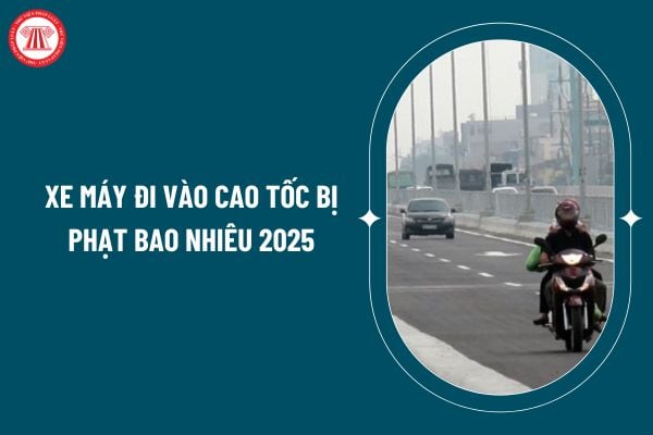 Xe máy đi vào cao tốc bị phạt bao nhiêu 2025? Người điều khiển phương tiện tham gia giao thông đường bộ cần đáp ứng những điều kiện gì? (Hình từ internet)