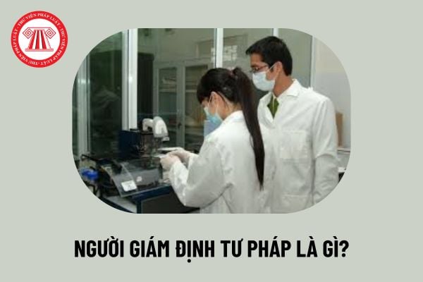 Pháp luật