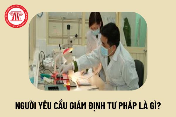 Pháp luật