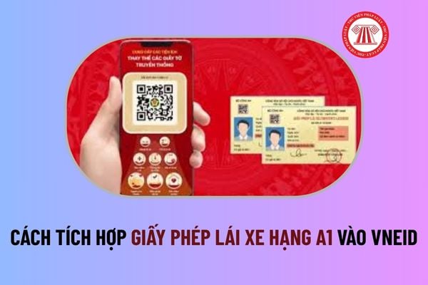 Pháp luật
