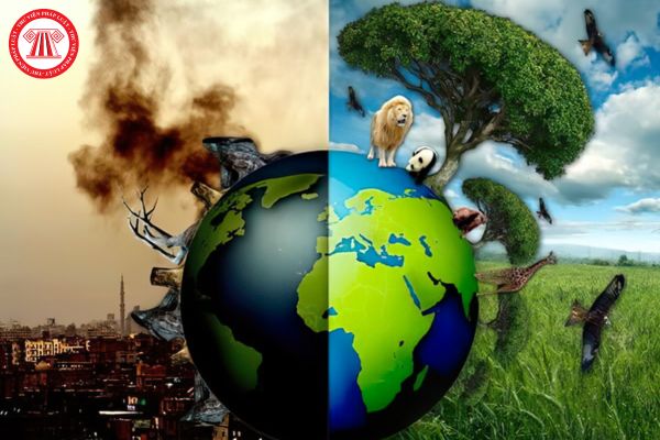 Ô nhiễm môi trường do nhiều người gây thiệt hại thì nguyên tắc xác định trách nhiệm bồi thường được quy định như thế nào?