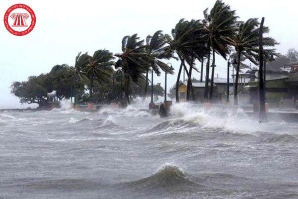 Áp thấp nhiệt đới hoạt động ngoài khu vực Biển Đông thì có được ban hành tin dự báo, cảnh báo cho người dân không?