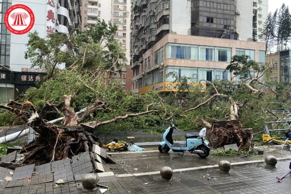 Bão số 4 hình thành sẽ có cấp gió từ bao nhiêu? Bão số 4 là siêu bão khi có cấp gió từ bao nhiêu?