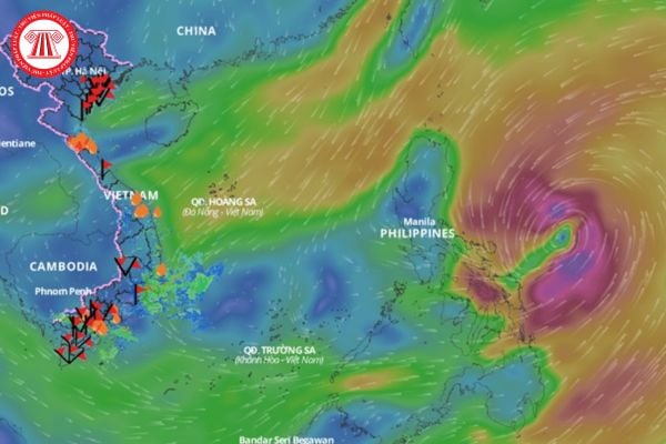 Khi nào bão Trà Mi tan? Cập nhật thông tin bão Trà Mi chính xác nhất ở đâu theo quy định pháp luật?