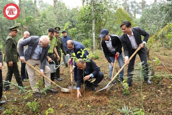 Hoạt động điều tra, đánh giá chất lượng đất, ô nhiễm đất được thực hiện theo nội dung gì theo Luật Đất đai mới?