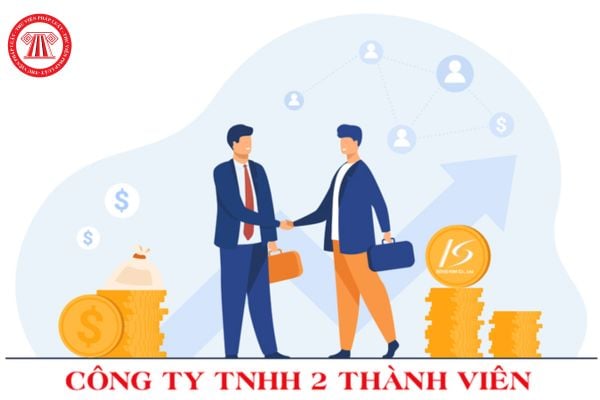 Thành viên công ty TNHH hai thành viên trở lên chịu trách nhiệm về các khoản nợ của doanh nghiệp trong phạm vi nào?