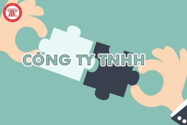 Phạm vi số vốn điều lệ của công ty tnhh một thành viên mà chủ sở hữu công ty chịu trách nhiệm là gì?