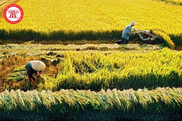 Nhà nước thu hồi đất chuyên trồng lúa nước mà gây thiệt hại cho lúa đang trồng thì nông dân được bồi thường như thế nào?