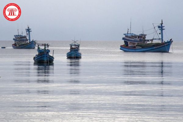Giám sát viên trên tàu nước ngoài có quyền yêu cầu thuyền trưởng đưa tàu về cảng gần nhất khi người và tàu nước ngoài vi phạm nghiêm trọng pháp luật Việt Nam không?