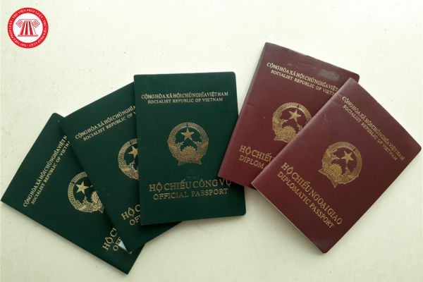 Hộ chiếu ngoại giao cấp cho người xuất cảnh ra nước ngoài để thực hiện nhiệm vụ công tác phải có những thông tin nào?