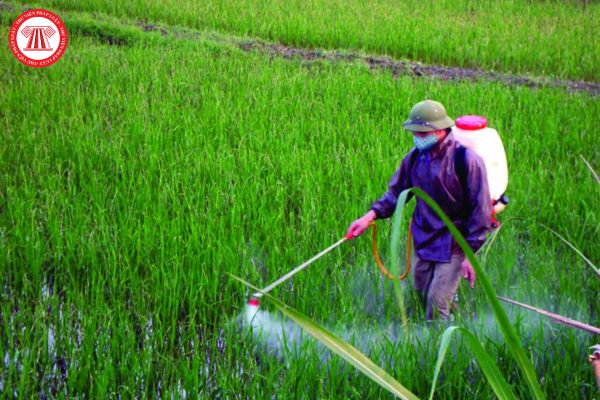 Cá nhân trong nước sản xuất hoạt chất thuốc bảo vệ thực vật có được đăng ký thuốc bảo vệ thực vật tại Việt Nam không?