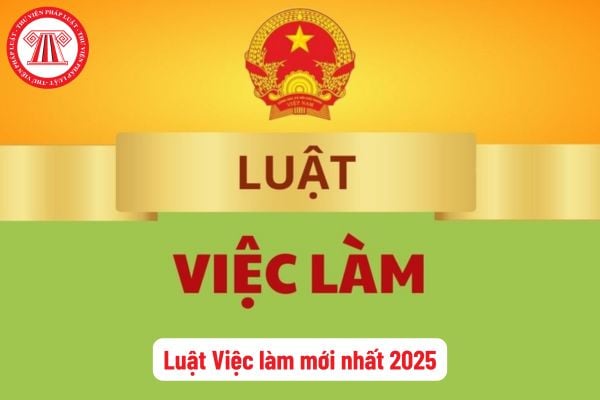 Luật Việc làm mới nhất hiện nay? Luật này quy định về gì và áp dụng đối với những ai? Chính sách của Nhà nước về việc làm?