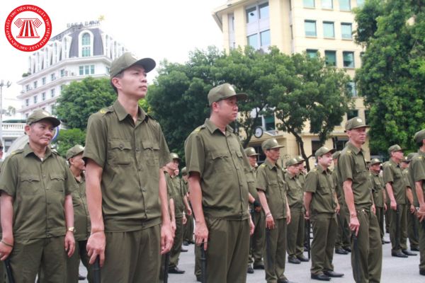 Lực lượng tham gia bảo vệ an ninh trật tự ở cơ sở thực hiện nhiệm vụ hỗ trợ xây dựng phong trào toàn dân bảo vệ an ninh Tổ quốc như thế nào?