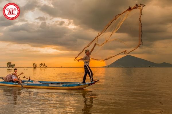 Mẫu thông tin về tổ chức cộng đồng quản lý nguồn lợi thủy sản là mẫu nào theo quy định của pháp luật? 