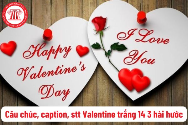 Những câu chúc, caption, stt Valentine trắng 14 3 hài hước, độc đáo? Quà tặng ngày 14 3? Cách xin nghỉ ngày 14 3?