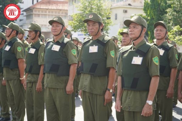 Số lượng thành viên Tổ bảo vệ an ninh, trật tự tại thôn, tổ dân phố do Hội đồng nhân dân cấp tỉnh hay Ủy ban nhân dân cấp tỉnh quyết định?