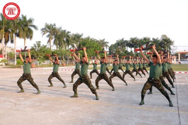 Thế trận an ninh nhân dân là gì? Xây dựng nền an ninh nhân dân và thế trận an ninh nhân dân theo quy định thế nào?