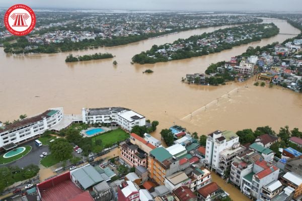 Thiệt hại gia súc gia cầm và thủy hải sản do bão số 3 (bão Yagi) và lũ lụt, kê khai số lượng chăn nuôi tập trung (hoặc nuôi trồng thủy sản) ban đầu theo mẫu nào?